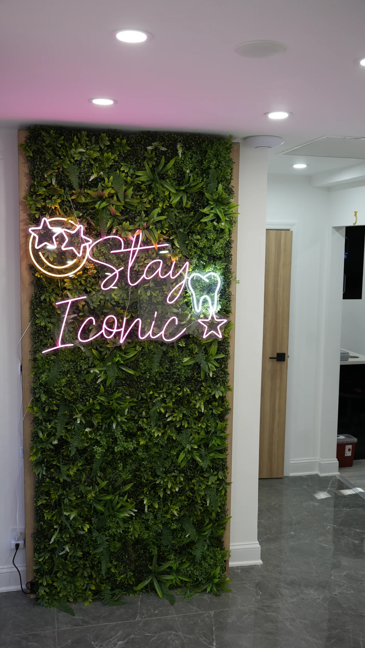 Green feature wall with a Stay Iconic sign inside the Bellerose office